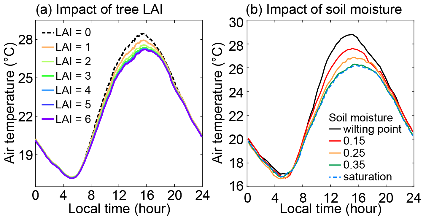 Cooling effect of urban trees